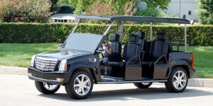 sunnyvale golf cart rental, golf cart rentals