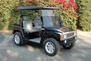 sunnyvale golf cart rental, golf cart rentals